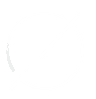 NullOne Solutions Logo